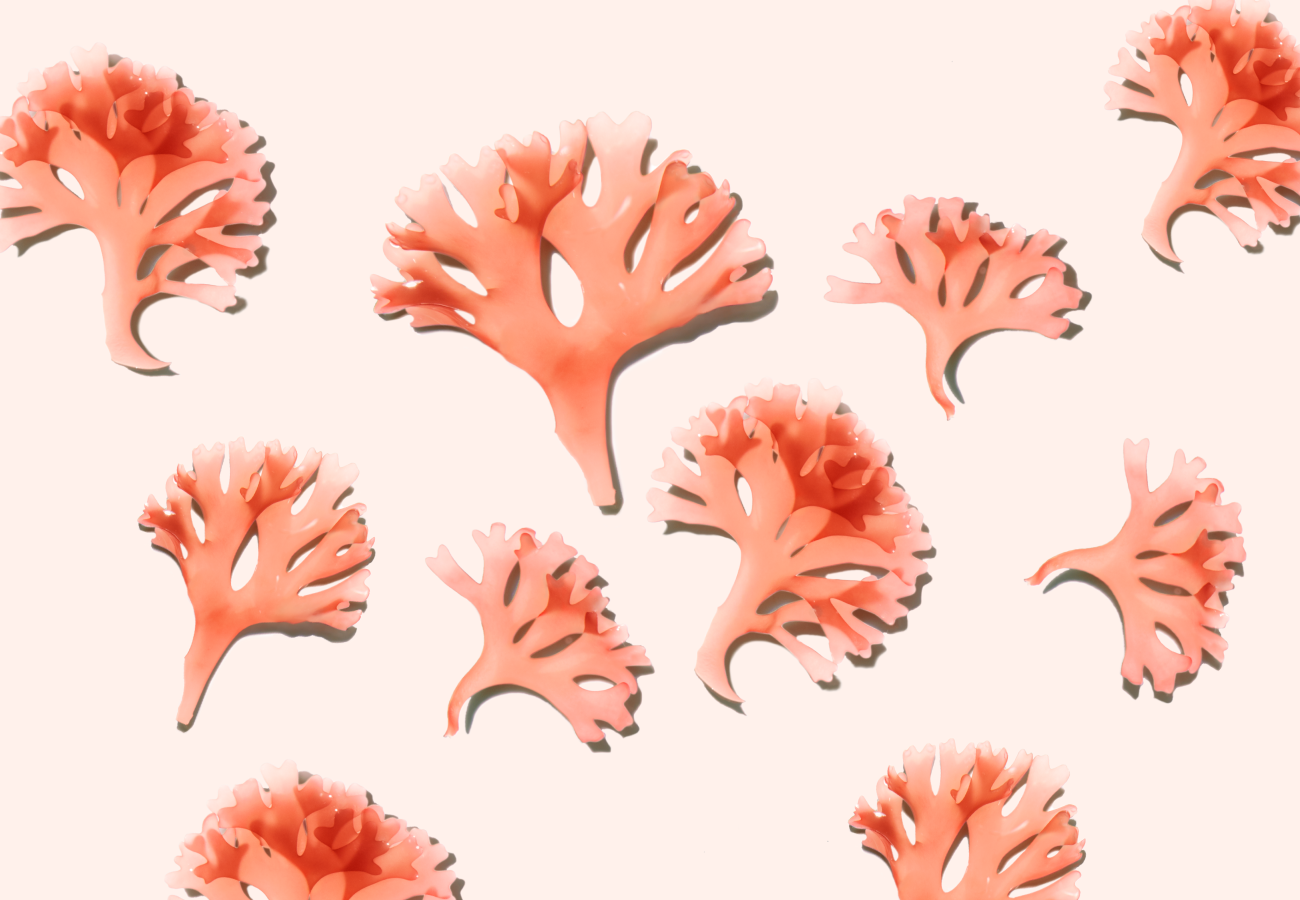 Boost Hair Growth Naturally: Discover the Amazing Benefits of Sea Moss Gel