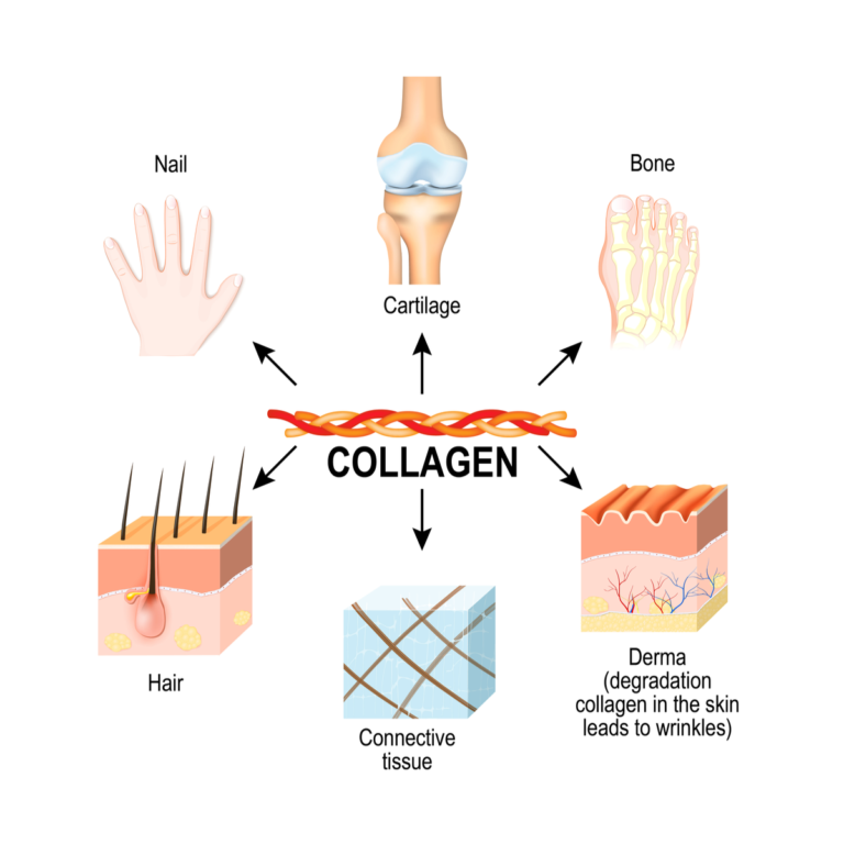 The Best Collagen Types for Healthier, Stronger Nails: A Comprehensive Guide