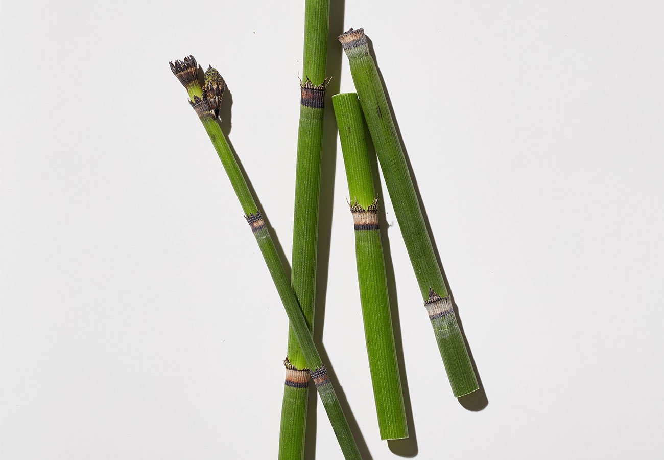Unlock Luscious Locks: Discover the Benefits of Horsetail for Hair Growth and Enhancements