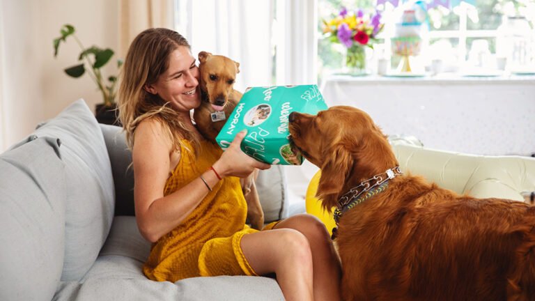 Top 14 Unique Gifts Every Dog Enthusiast Will Adore