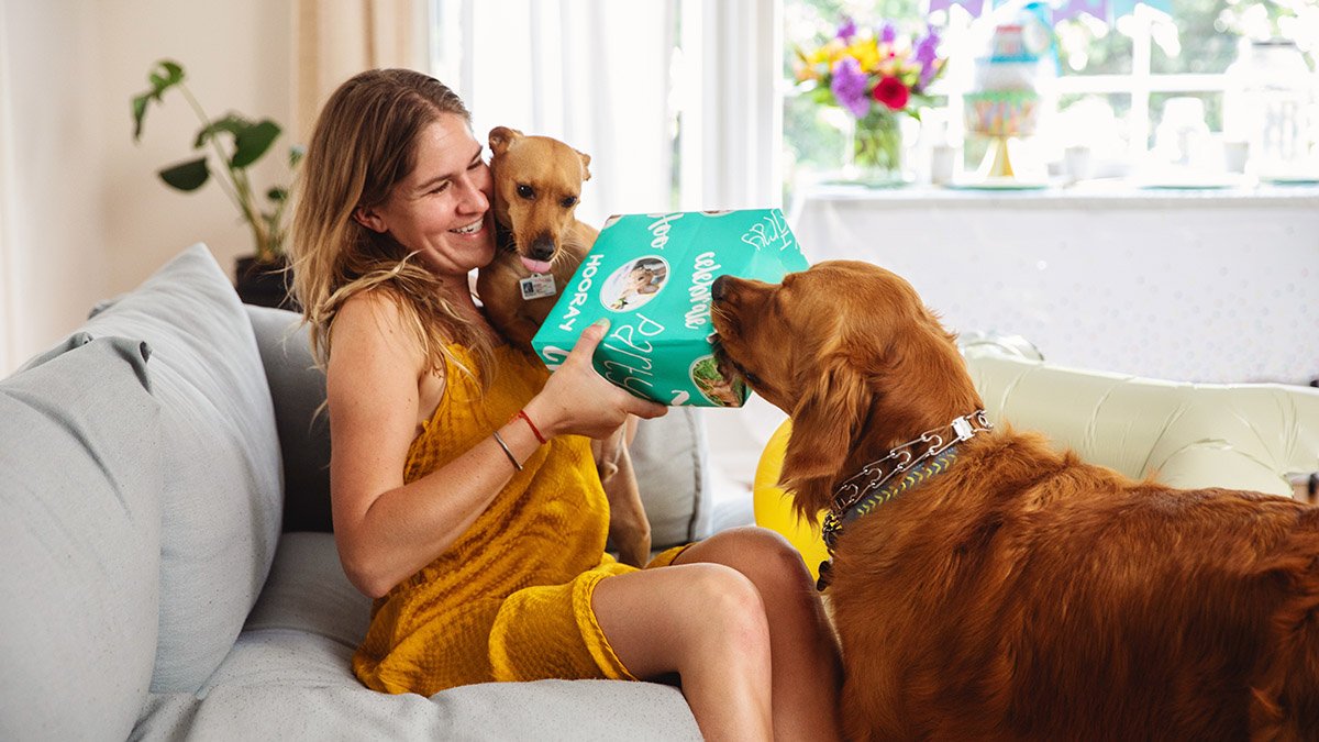 Top 14 Unique Gifts Every Dog Enthusiast Will Adore