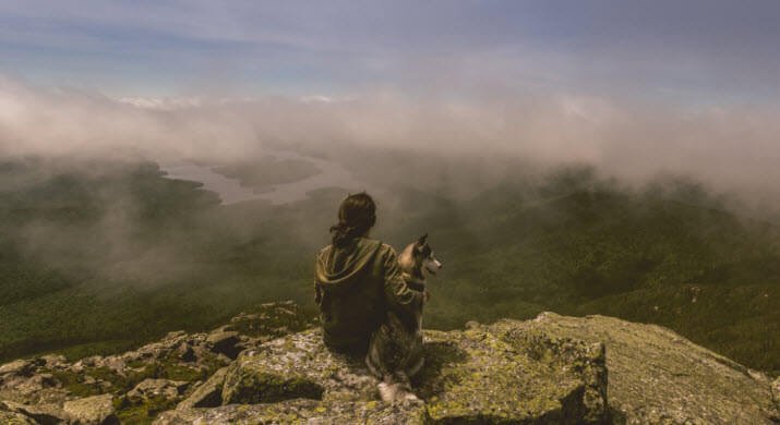 6 Heartfelt Gift Ideas to Comfort a Friend Mourning the Loss of a Pet